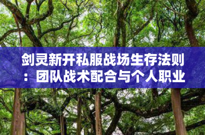 剑灵新开私服战场生存法则：团队战术配